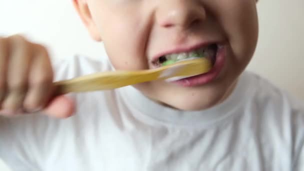 Jongen Poetst Zijn Tanden Met Een Bamboe Borstel — Stockvideo