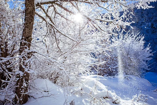 Vinter landskap bakgrund Stockfoto