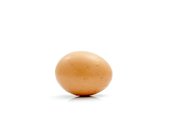 Singolo uovo di pollo marrone isolato su bianco — Foto Stock