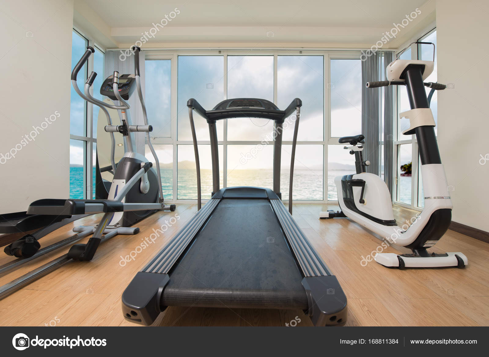 Luxury Home Gym Images – Browse 7,166 Stock Photos, Vectors, and Video