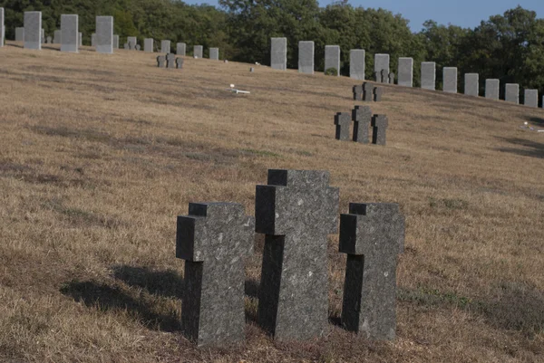 grave crosses in a park