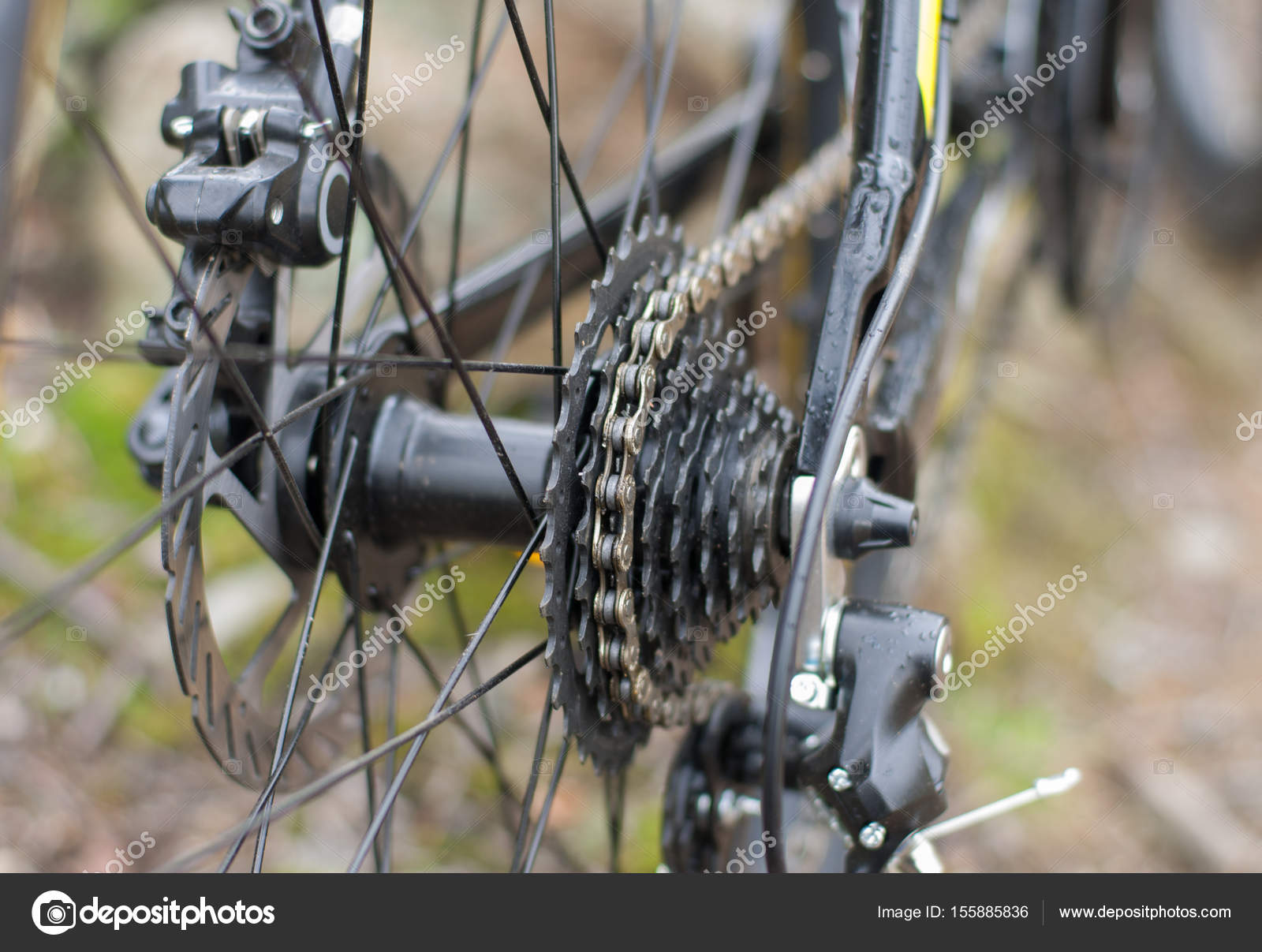 rear bike wheel with cassette