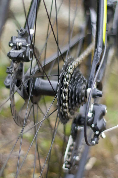 Casete de rueda trasera de una bicicleta de montaña . — Foto de Stock