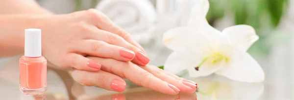 Concept de manucure. Belles mains de femme avec manucure parfaite au salon de beauté . — Photo
