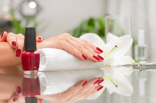 Conceito de manicure. Mãos de mulher bonita com manicura perfeita no salão de beleza . — Fotografia de Stock