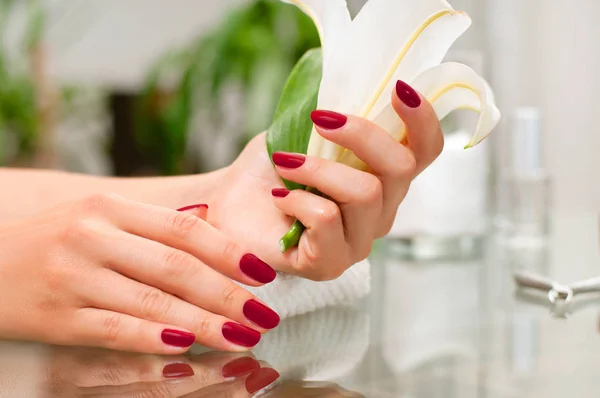Pojem manikúra. Krásné ženské ruce s dokonalou manikúru v beauty salonu. — Stock fotografie