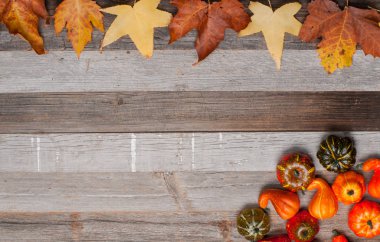 Sonbahar yaprakları, kabaklar kopya alanı eski ahşap zemin üzerine