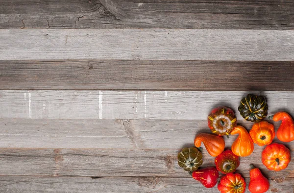 Kabaklar ahşap arka plan üzerinde. Cadılar Bayramı, Şükran günü gündüz ya da mevsimlik sonbahar.