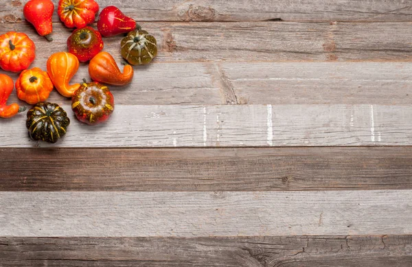 Calabazas sobre fondo de madera. Halloween, Día de Acción de Gracias o otoño estacional . — Foto de Stock