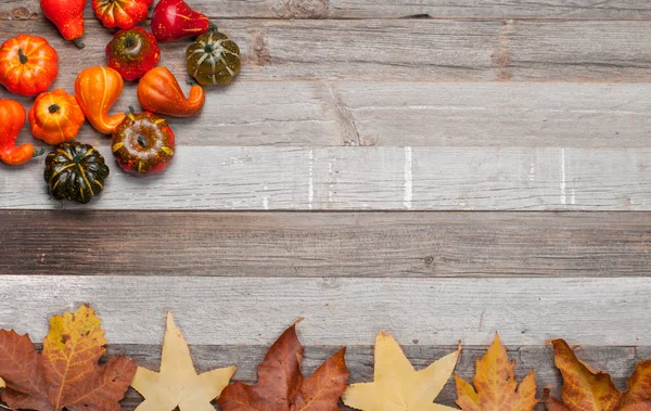 Hojas de otoño, calabazas sobre fondo de madera vieja con espacio para copiar — Foto de Stock