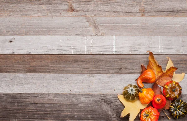 Hojas de otoño, calabazas sobre fondo de madera vieja con espacio para copiar — Foto de Stock