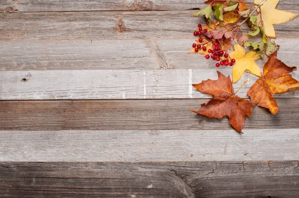 Arka plan doku eski ahşap masa ve sarı düşen yapraklar. 