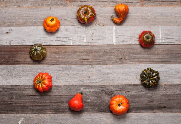 Calabazas sobre fondo de madera. Halloween, Día de Acción de Gracias o otoño estacional . — Foto de Stock