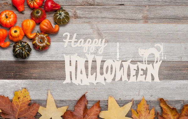 Kabaklar ve sonbahar yaprakları üzerinde ahşap arka plan. Cadılar Bayramı. Sonbahar konsepti