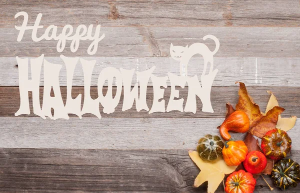 Kabaklar ve sonbahar yaprakları üzerinde ahşap arka plan. Cadılar Bayramı. Sonbahar konsepti