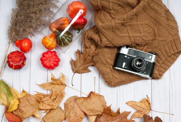 Accessori autunno per donne con foglie autunnali . — Foto Stock