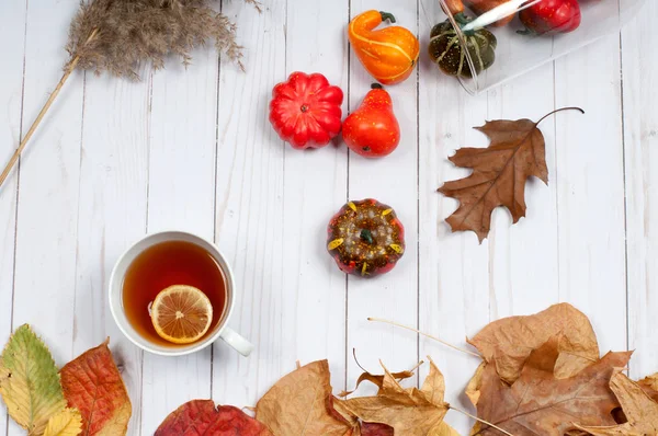 Hojas de otoño y calabaza con taza de té — Foto de Stock