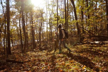 Kız dağlarda sonbahar ormanda yürümek. Yürüyüş ve seyahat