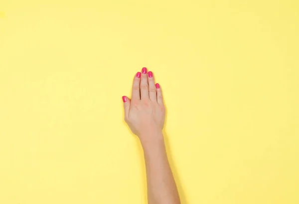 Pembe manikürlü güzel kadın elleri — Stok fotoğraf