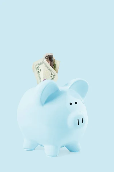 Piggy bank en dollar biljetten op pastel blauwe achtergrond — Stockfoto