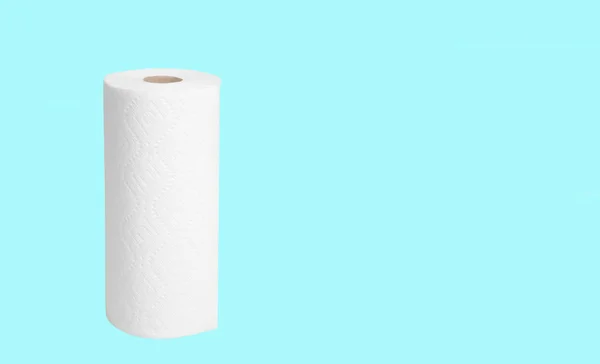 Paper towel roll on pastel green background