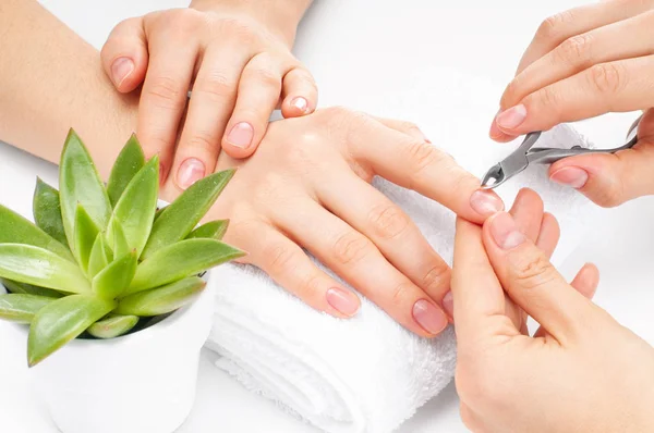 Las manos cuidan en el spa. Hermosas manos de mujer con manicura perfecta —  Fotos de Stock