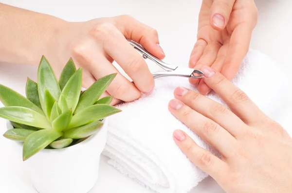 Las manos cuidan en el spa. Hermosas manos de mujer con manicura perfecta —  Fotos de Stock