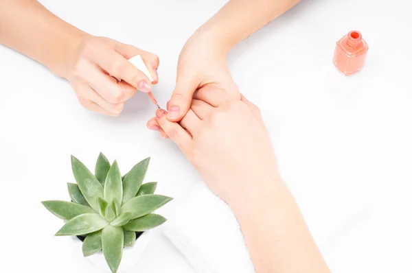 Manicura. Manicura aplica esmalte de uñas en el dedo femenino en el salón —  Fotos de Stock