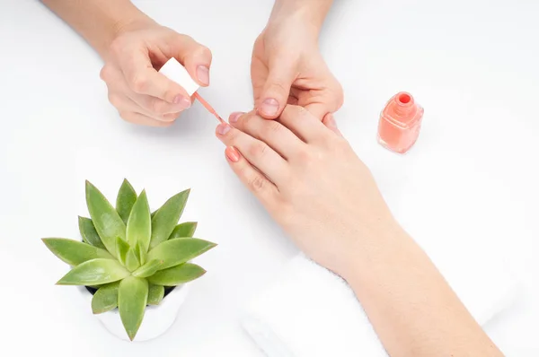 Manicura. Manicura aplica esmalte de uñas en el dedo femenino en el salón — Foto de Stock