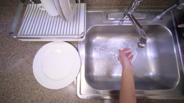 Mujer Está Lavando Berenjenas Bajo Agua Corriente Fregadero Cocina Concepto — Vídeos de Stock