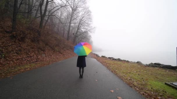 Futottam Ködös Reggelen Fut Erdőn Ködben — Stock videók