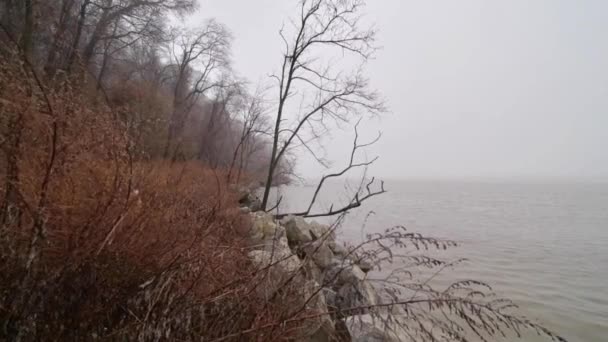 Läuft Einem Nebligen Morgen Frau Läuft Nebel Durch Den Wald — Stockvideo