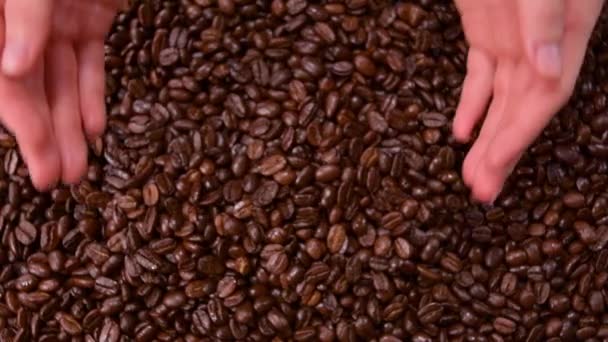 コーヒー豆焙煎されたコーヒー豆はスローモーションで手から落ちる — ストック動画