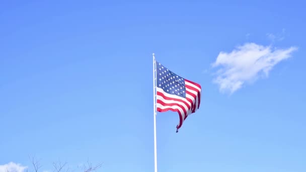 Americká Vlajka Americká Vlajka Mává Pozadí Modré Oblohy Příznak Usa — Stock video