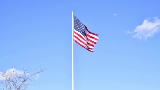 Americká Vlajka Americká Vlajka Mává Pozadí Modré Oblohy Příznak Usa — Stock video