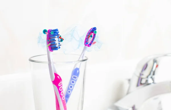 Dental Hygiene Tooth Brushes Bacteria Glass Bathroom — Stock Photo, Image