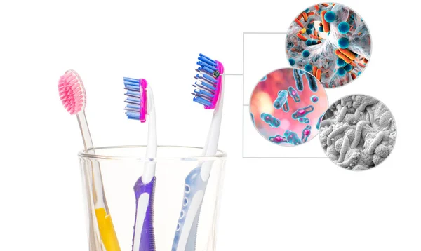Гигиена Зубов Зубные Щетки Бактериями Стекле Белом Фоне — стоковое фото