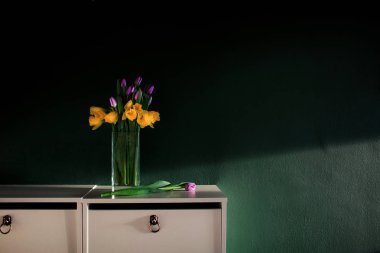 yeşil duvar sonraki kötü sepet beyaz raf ile vazoda çiçek açan mor Lale ile sarı nergis çiçekleri