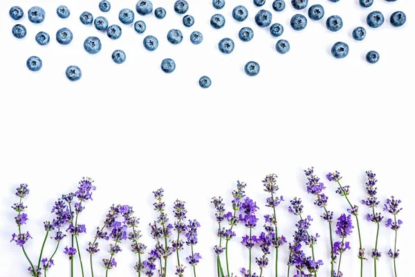 Fresh lavender flowers and blueberries on a white background. Lavender flowers and blueberries mock up. Copy space. — Stock Photo, Image