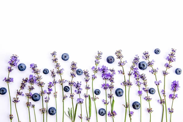 Flores frescas de lavanda e mirtilos sobre um fundo branco. Flores de lavanda e mirtilos zombam. Espaço de cópia . — Fotografia de Stock