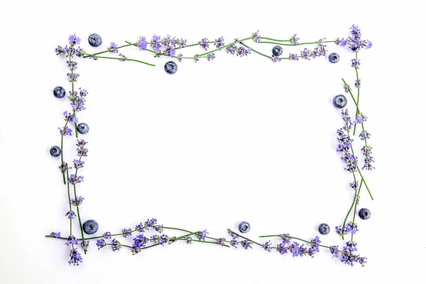 Een frame van verse lavendel en bosbessen op een witte achtergrond. Lavendel bloemen en bosbessen mock up. Kopiëren van ruimte. — Stockfoto