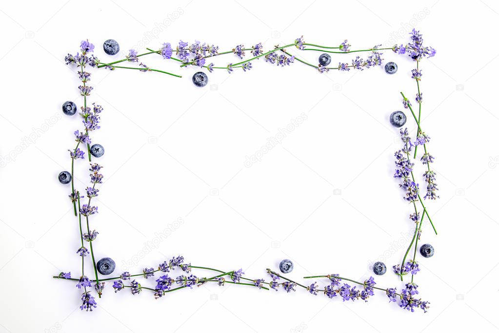 A frame of fresh lavender flowers and blueberries on a white background. Lavender flowers and blueberries mock up. Copy space.