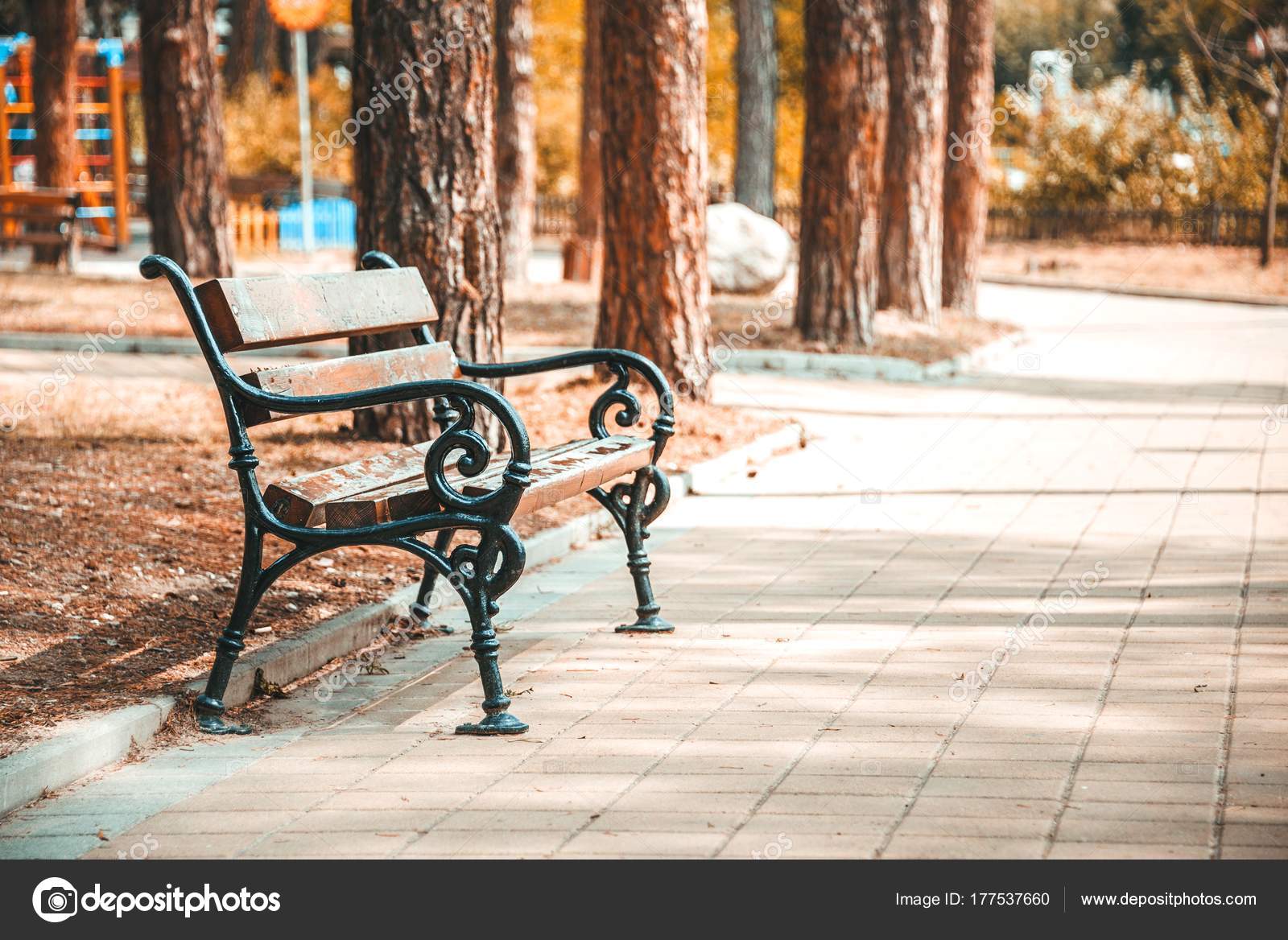 Close Up Of A Park Bench On A Lane In A Public City Park In A