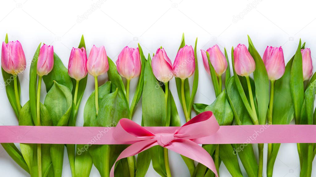 Top view of pink tulips arranged in line, wrapped with pink ribbon over white background.
