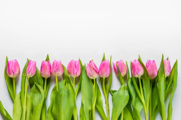 Vista superior de tulipanes rosados dispuestos en línea sobre fondo blanco. Copiar espacio . — Foto de Stock