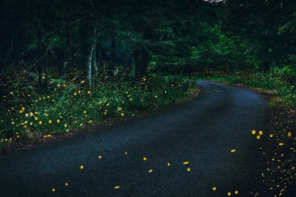 Светлячки летят в лесу в сумерки. — стоковое фото