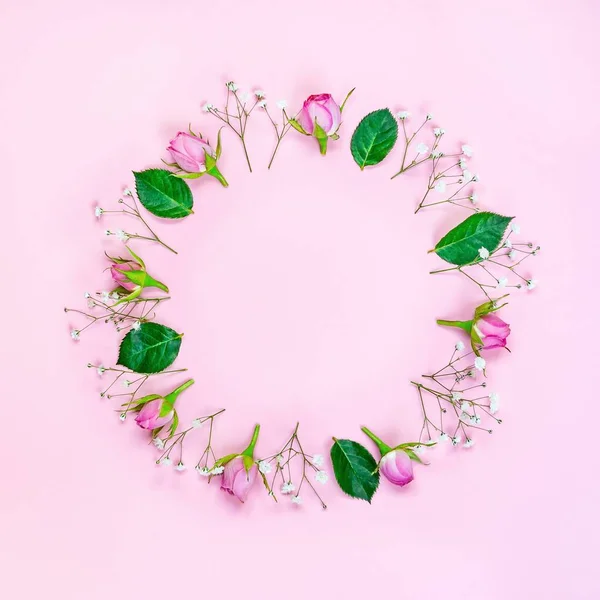 Top view of pink roses and green leaves wreath over pink background. Abstract floral background. — Stock Photo, Image