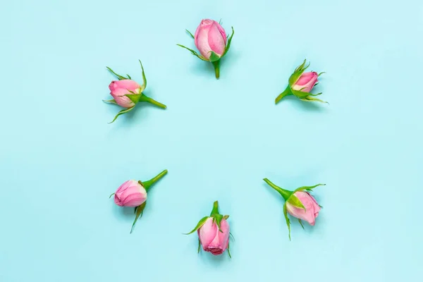 Vista superior de rosas rosadas dispuestas en círculo sobre fondo azul. Fondo floral abstracto . — Foto de Stock