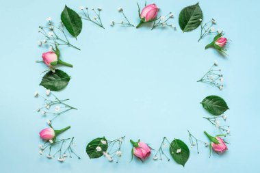 Üstten Görünüm pembe Gül ve mavi arka plan üzerinde Meydanı'nda düzenlenen yeşil yaprakları çelenk. Çiçek arka plan.