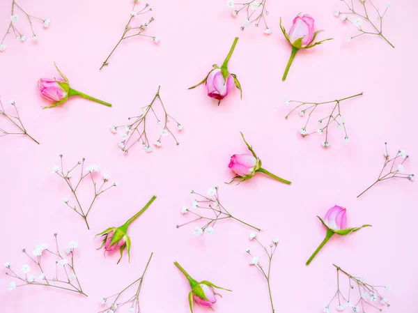 Vista superior de rosas cor-de-rosa sobre fundo rosa. Fundo floral abstrato . — Fotografia de Stock